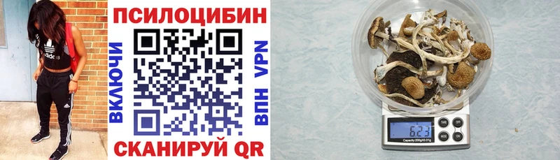 Галлюциногенные грибы ЛСД  Топки 